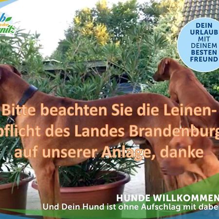 Wellness-Suite-Im-Wald-Am-See Kyritz Eksteriør bilde